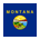 MT